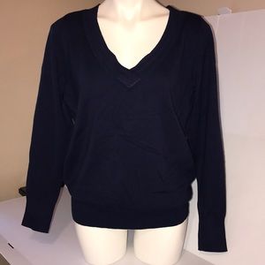 Lane Bryant  V neck pullover sweater SZ 14/16